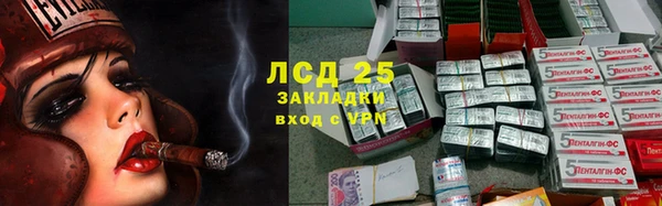 ECSTASY Алзамай