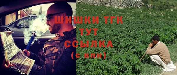 ECSTASY Алзамай
