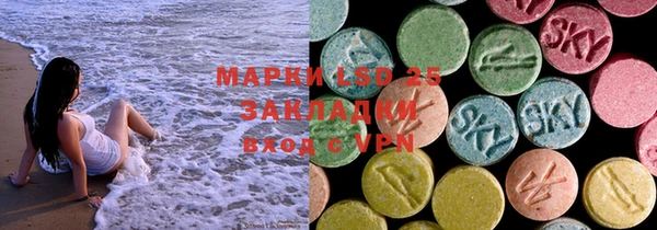 ECSTASY Алзамай