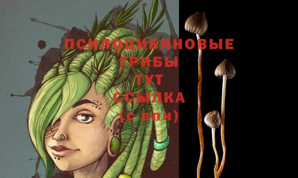 spice Михайловка