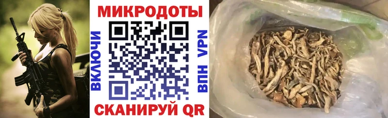 Псилоцибиновые грибы Cubensis где купить наркотик Дыгулыбгей